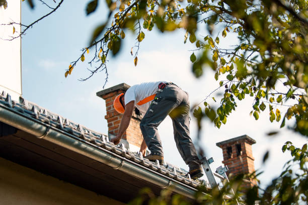 Best Affordable Roof Replacement  in West Canton, NC