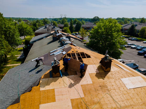 Quick and Trustworthy Emergency Roof Repair Services in West Canton, NC
