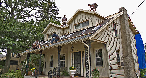Best Roof Gutter Cleaning  in West Canton, NC